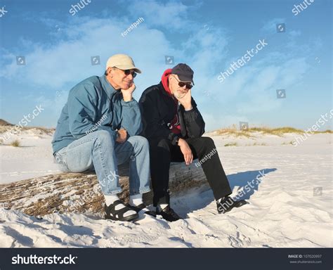 Like Two Bumps On Log Two Stock Photo 107020997 | Shutterstock