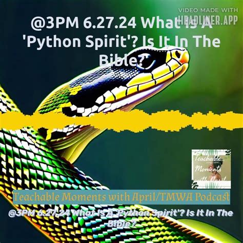 Image result for Spirit of Python Bible
