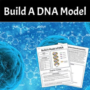 Image result for DNA Build