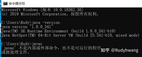 How to Install vs Code Java and Python 的图像结果