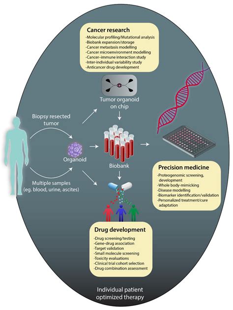 Microfluidic Organoids-on-a-Chip: Quantum Leap in Cancer Research