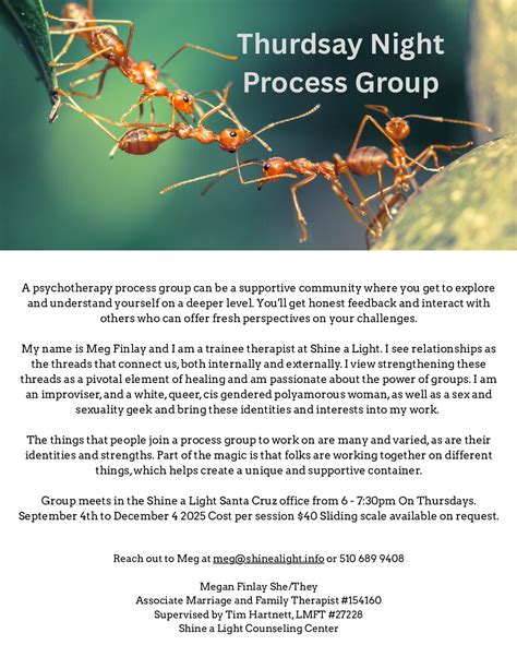 Psychotherapy Process Group | Shine a Light Counseling Center