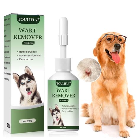 Can Humans Get Warts From Dogs