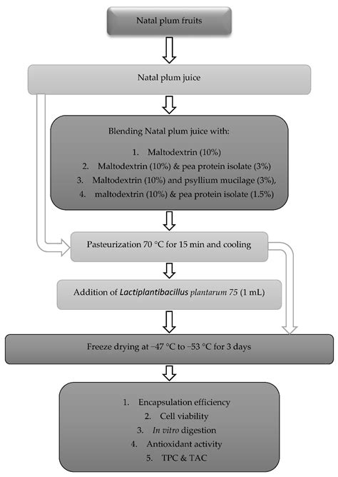 Antioxidant Activities of Co-Encapsulated Natal Plum (Carissa ...