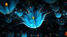 Abstract Wallpaper 1920x1080 by Hd Abstract Wallpaper Widescreen 1920x1080 56 Images Abstract Wallpaper 1920x1080