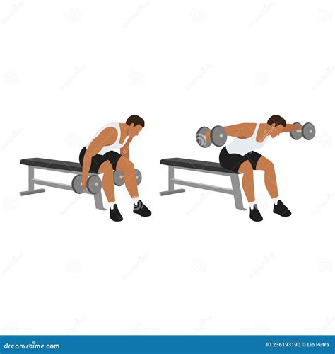 Reverse Flyes Exercise