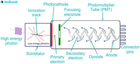 Image result for Draw Connection Between Module