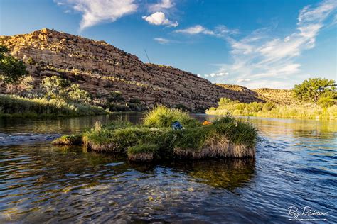 San Juan River New Mexico Fly Fishing Images & Tips | Fish Photos ...
