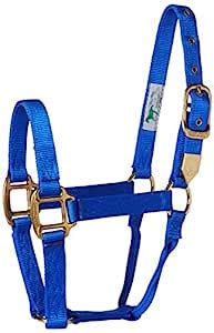 Hamilton 1-Inch Nylon Horse Halter, Yearling Size (300-500-Pounds ...
