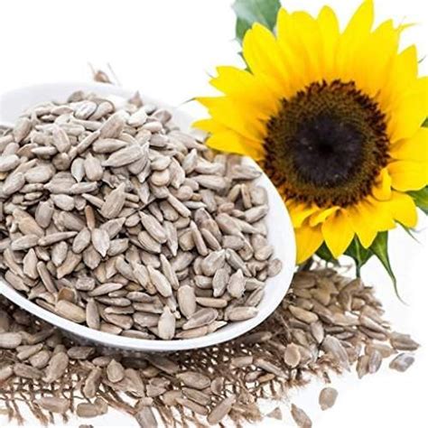 Sunflower Seeds Manufacturers and Suppliers from Neemuch
