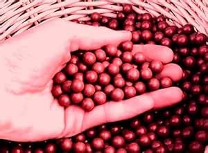 Clay Made Biodegradable Marbles for Adult Terracotta Round Clay Pebble ...