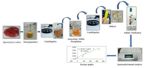 Purification and Characterization of Polyphenol Oxidase in the Fruits ...