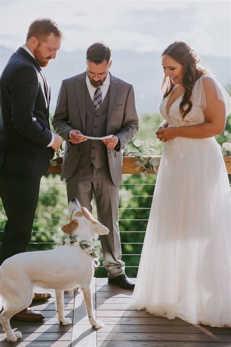 7 Ways to Incorporate your Dog in your Wedding — Erika El Photography - Wedding and Elopement ...