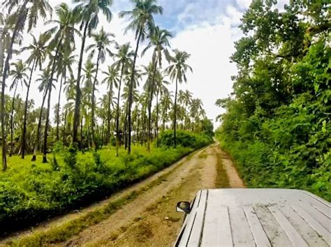 Malekula Island Tourism (2022): Best of Malekula Island - Tripadvisor