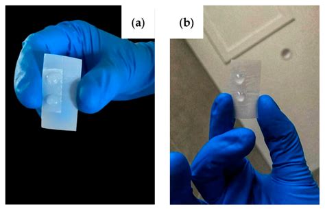 Biomimetic Rose Petal Structures Obtained Using UV-Nanoimprint Lithography
