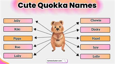 Cute Names For Quokka