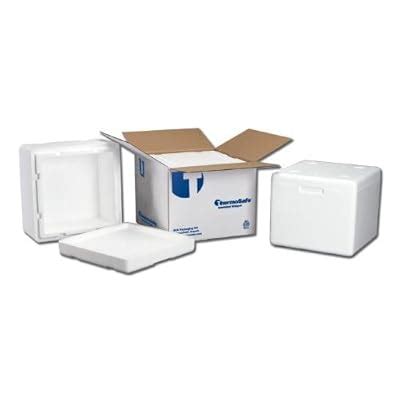 ThermoSafe Insulated Multi-Purpose Shipper Container India | Ubuy