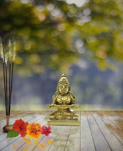 Annapurna Devi Idol – PujaNpujari