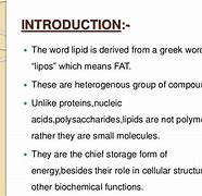 Image result for Lipid Definition