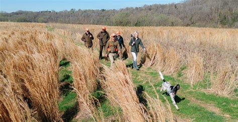 All-inclusive Tennessee resort cabin lodging and dining packages