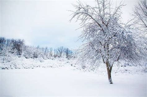 下雪天，如何拍出让人怦然心动的雪地人像？雪景人像拍摄指南 - 哔哩哔哩