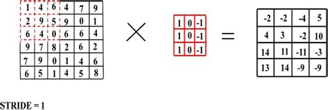 Image result for Convolution Layer Strides