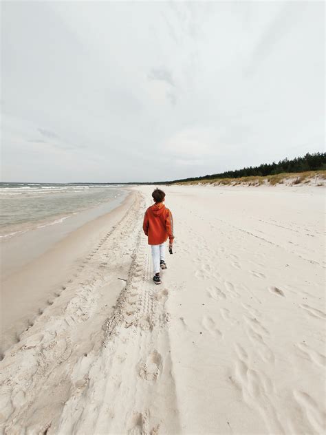 Silhouette of Boys at the Beach · Free Stock Photo