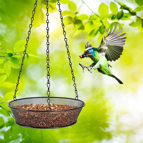 Thsue Metal Black Bird Feeder Net Hanging Decorative Bird Feeder Tray ...