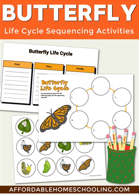Life Cycle Of A Butterfly Printable Worksheet