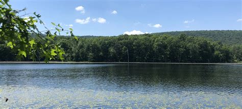 Sleepy Creek Loop, West Virginia - 68 Reviews, Map | AllTrails