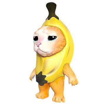 Image result for Cat Writing Python Code