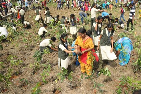 Events – Communitree