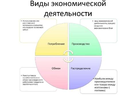 Основные виды экономической деятельности по обществознанию, примеры ...