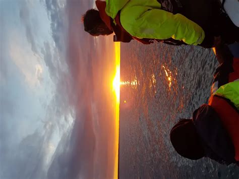 Premium Whales & Midnight Sun | Whale Safari - Closer to Nature