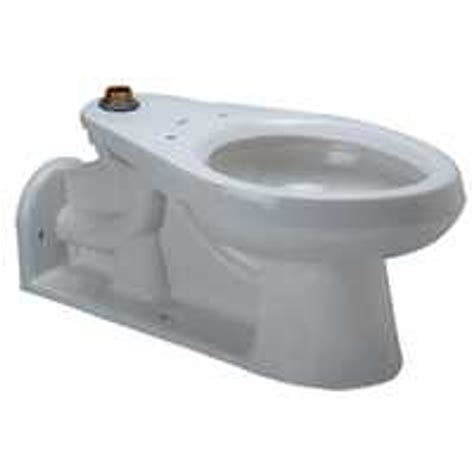 Zurn Z5641, ADA Floor Mounted, Flush Valve Toilet w/ Bedpan Lugs