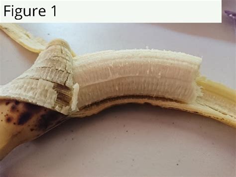 Image result for To Describe Specific Row in Python