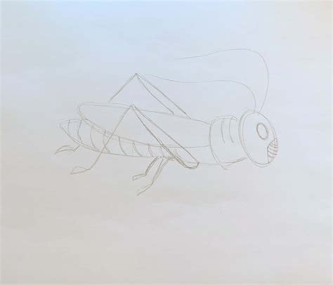 Easy Grasshopper Drawing