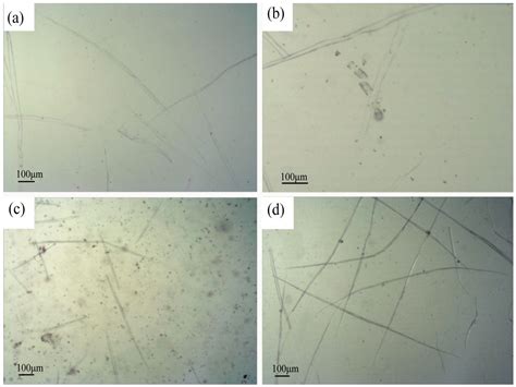 In-Depth Analysis of the Structure and Properties of Two Varieties of ...