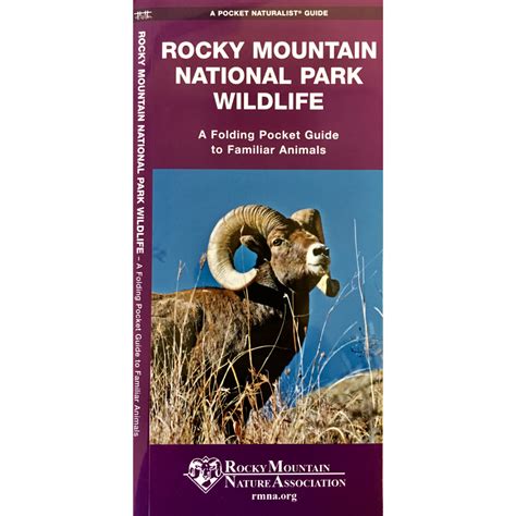Rocky Mountain National Park Wildlife - Rocky Mountain Conservancy