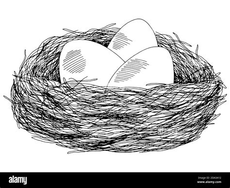 Nest Black And White Clipart