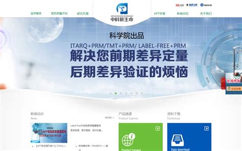 上海专业做网站公司