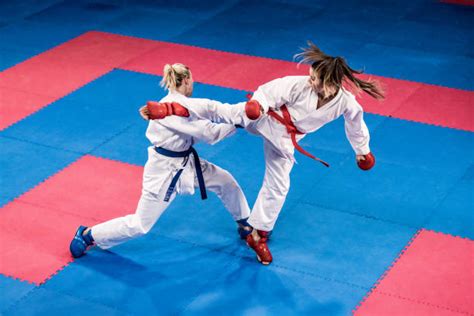 Image result for Karate Framework Java