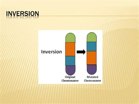 Image result for Inherited Variation