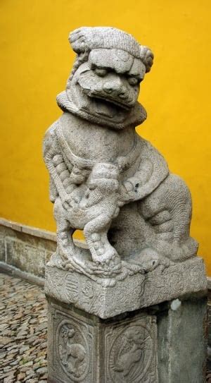Image result for Machine Learning Dengn Python