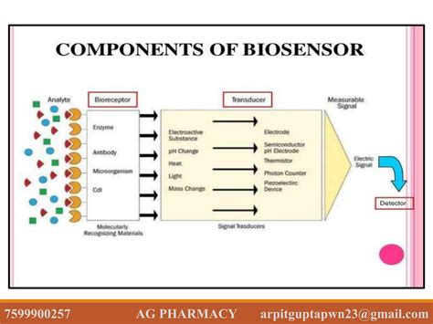 Image result for How Does a Biosensor Work