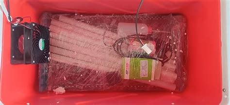 Hatchpro 50 eggs incubator fully automatic for hatching | with ...