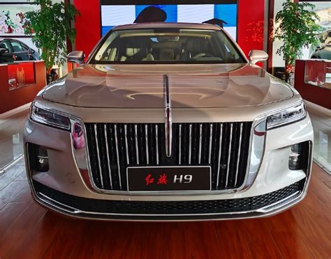 2020年北京车展：红旗E-HS9实车-新浪汽车