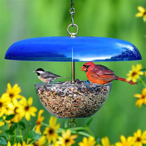 Duncraft Cardinal Feeder w/ Blue Baffle | Made in USA