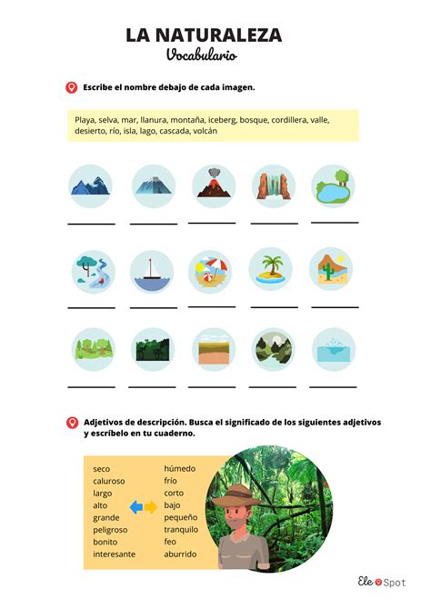 Vocabulario de la naturaleza | Aprender español, Verbos en espanol ...