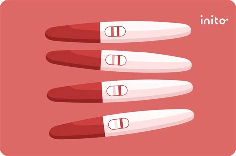 hCG Doubling in Pregnancy: Why It Matters - Inito